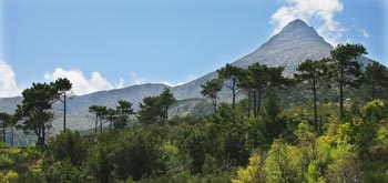 Chios Nature photography competition 2010