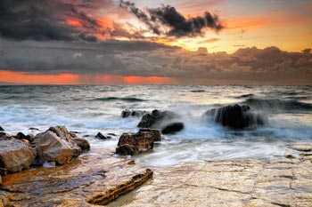 Chios Nature photography competition 2010 Chios Nature photography competition 2010