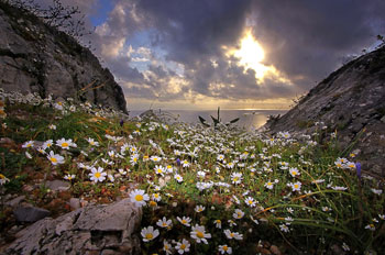 Chios Nature photography competition 2010