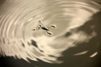 Chios Nature photography competition 2010 Chios Nature photography competition 2010