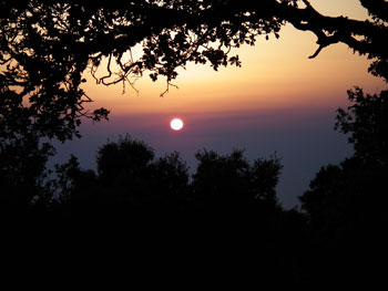 Chios Nature photography competition 2010