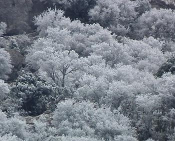 Chios Nature photography competition 2012