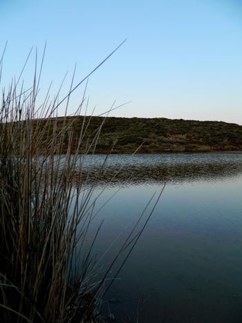 Chios Nature photography competition 2012