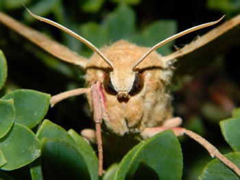 Chios Nature photography competition 2012