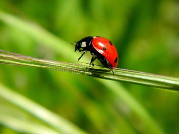 Chios Nature photography competition 2012